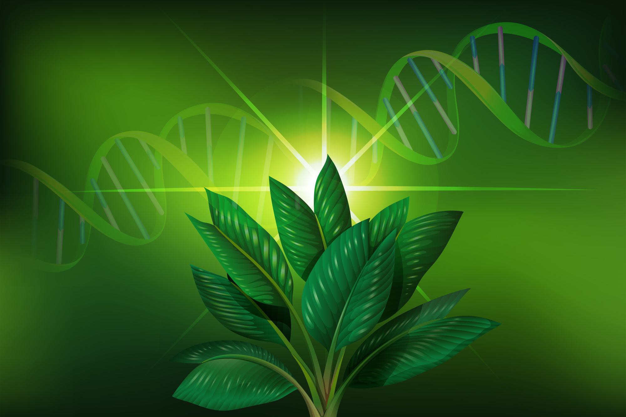 Potensi Teknologi Bioteknologi dalam Pangan Masa Depan